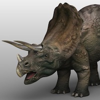 Triceratops model by 3d_Wanderer