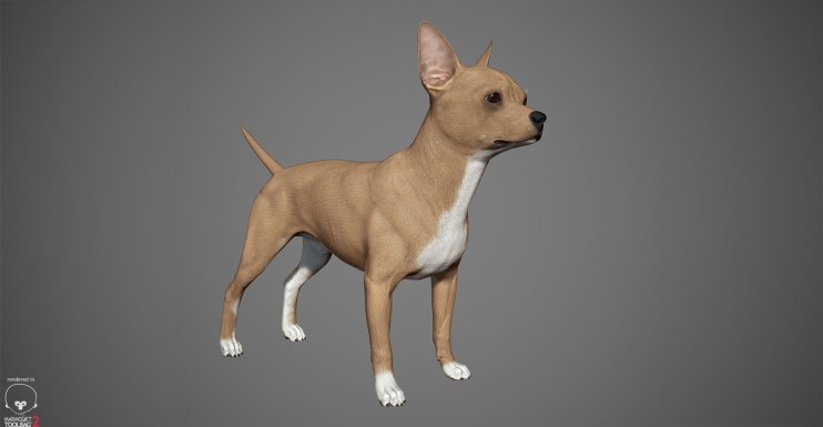 Chihuahua 3D model by lashkoalex
