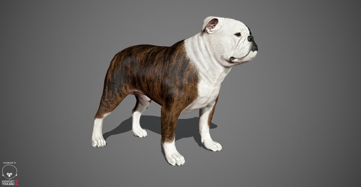 English Bulldog 3D model by lashkoalex