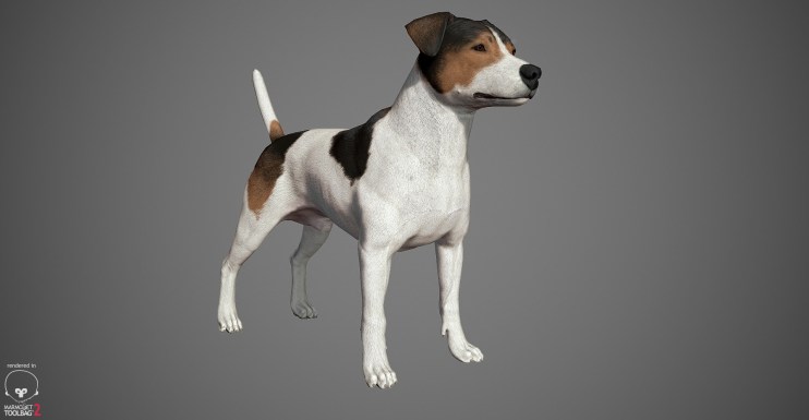 Jack Russell Terrier 3D model by lashkoalex