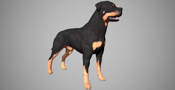 Rottweiler 3D model by lashkoalex
