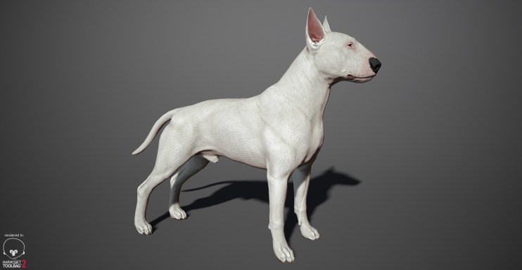 Bull Terrier 3D model by lashkoalex