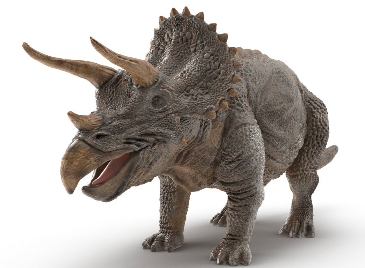 Triceratops 3D model by RaveeCG