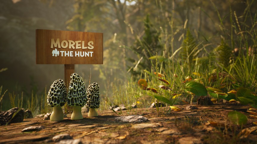 Morels:The Hunt