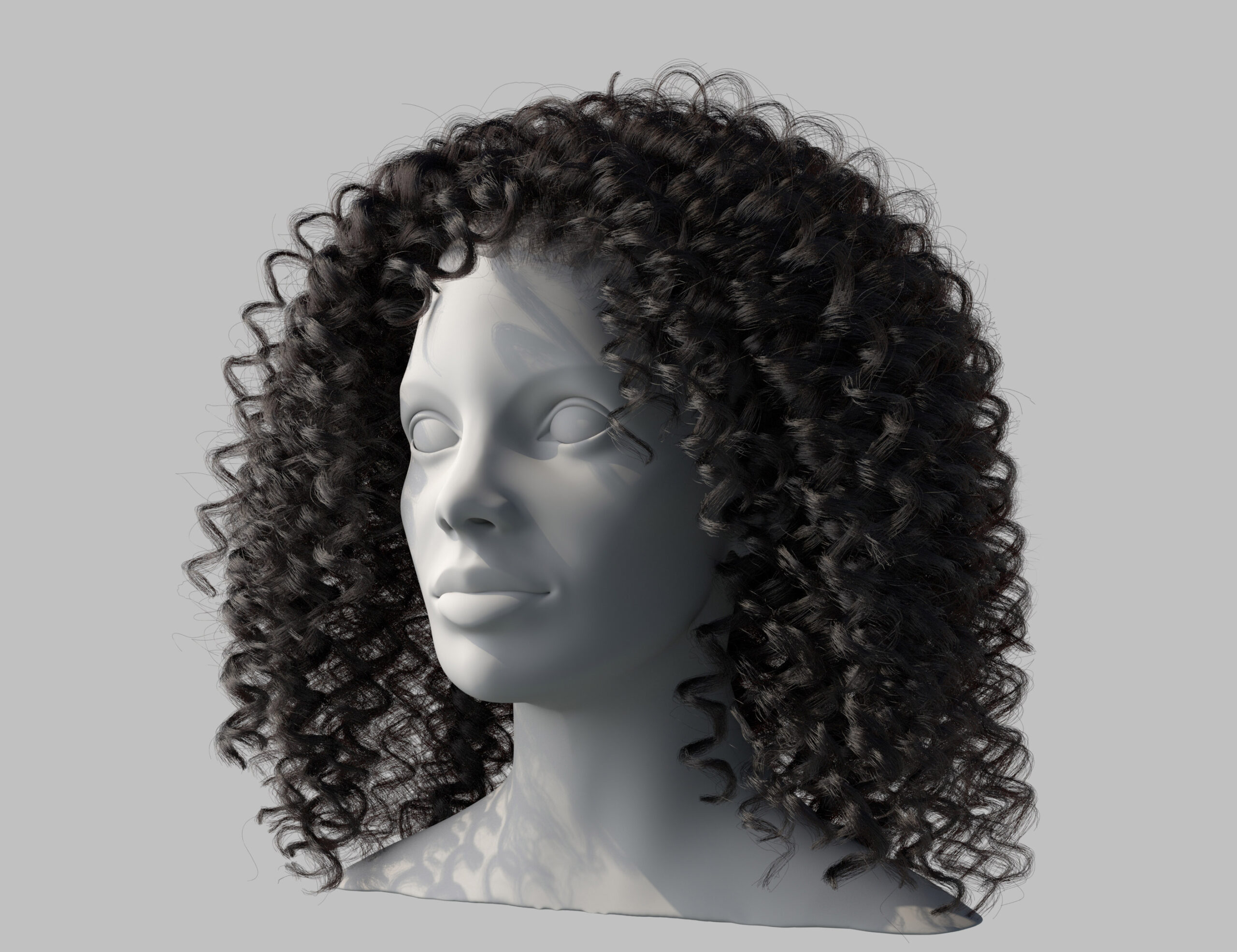 Final rendered curly/textured hair.