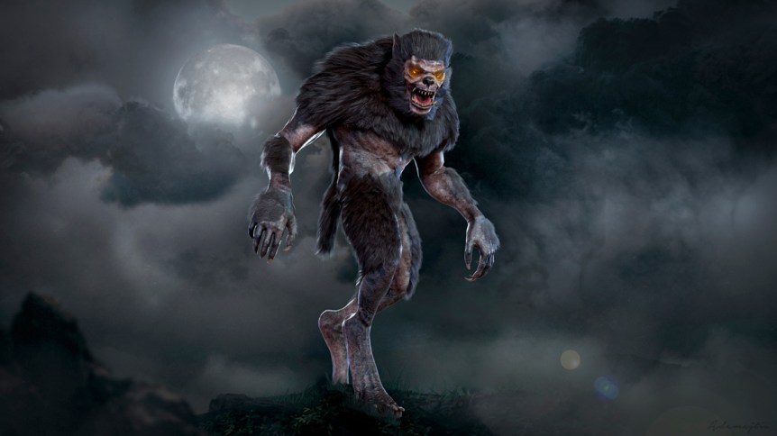 Our favorite 3D model from the collection of Dary Palasky: a 3D Werewolf.