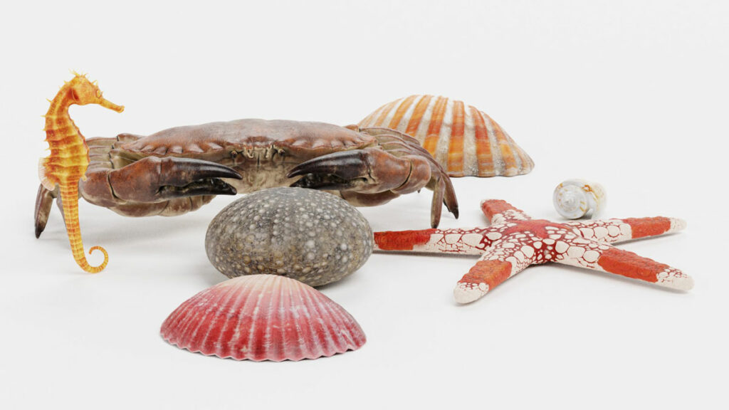 A collection of sea life models including a crab, seahorse, starfish, and shells.
